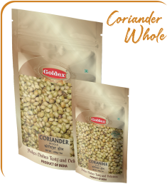 portfolio images